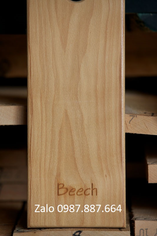 Gỗ Dẻ Gai - Beech 1 Beech sample