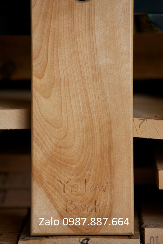 Birch-Yellow-sample Birch yellow sample