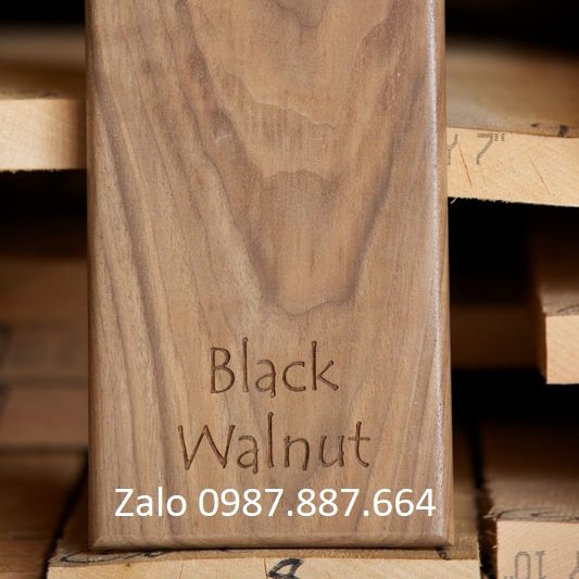 Black walnut sample
