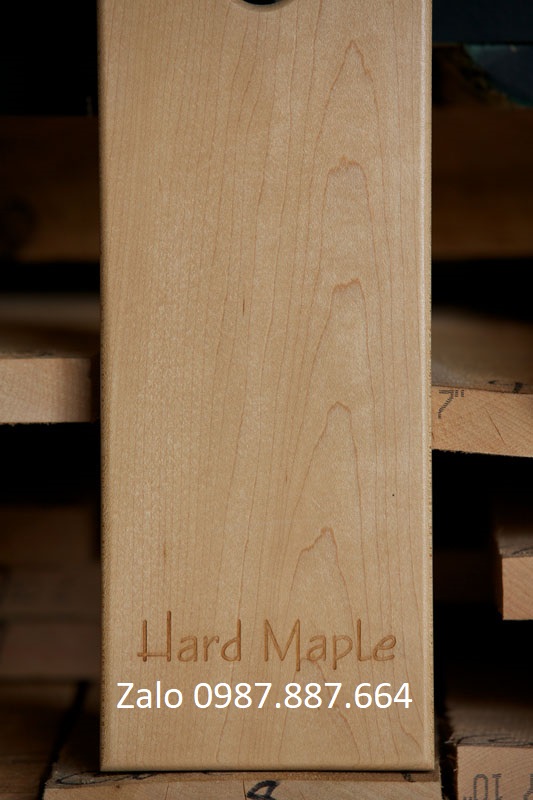 Hard maple sample