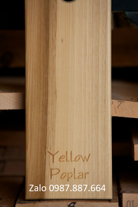 Yellow-Poplar-sample Yellow poplar sample